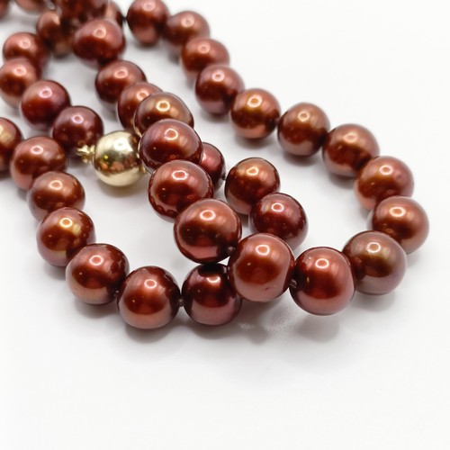 719 - A string of cocoa freshwater cultured pearls, with a 9ct yellow gold ball clasp