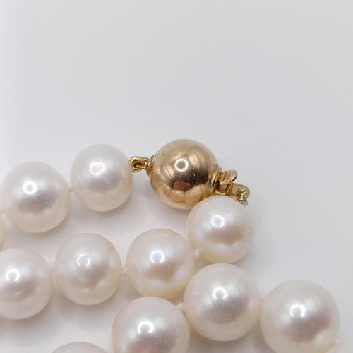 746 - A cultured pearl strung necklace, with a 9ct yellow gold ball clasp