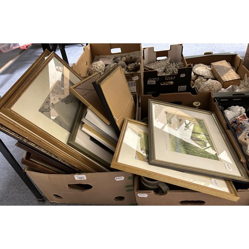 1483 - Assorted pictures prints and ceramics (2 boxes)