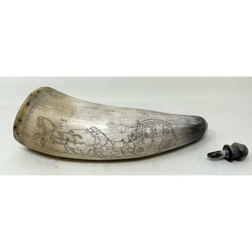 1531 - A 19th century American horn snuff mull, Property Of Dover Coaching Company, 22 cm wide