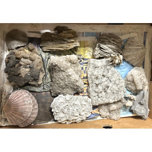 1498 - Assorted fossils, minerals and other items (4 boxes)