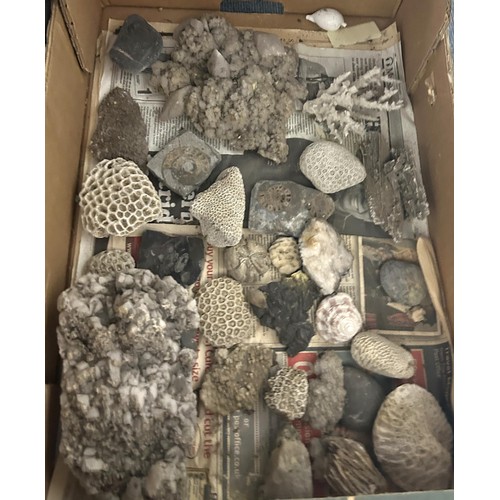 1498 - Assorted fossils, minerals and other items (4 boxes)