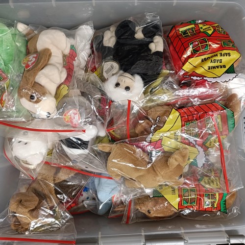 743 - Assorted TY beanie babies