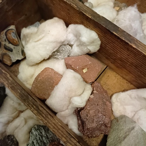 852 - Assorted mineral samples, in a fitted pine box, 64 cm wide