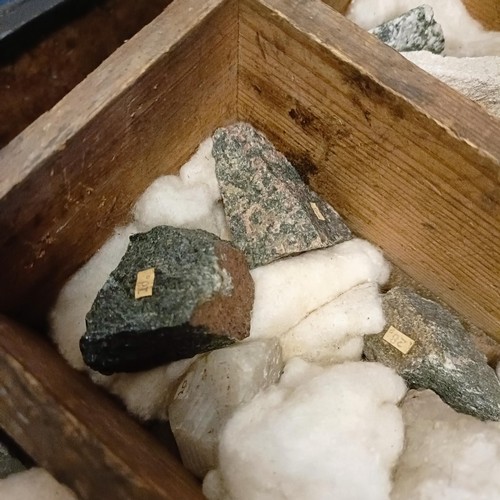 852 - Assorted mineral samples, in a fitted pine box, 64 cm wide