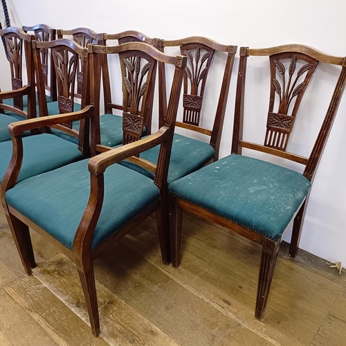 985 - A set of eight camphorwood dining chairs, with pierced splat backs and padded seats (6+2)