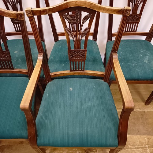 985 - A set of eight camphorwood dining chairs, with pierced splat backs and padded seats (6+2)