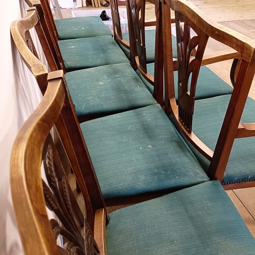 985 - A set of eight camphorwood dining chairs, with pierced splat backs and padded seats (6+2)