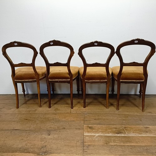 1023 - A set of four Victorian mahogany chairs (4)