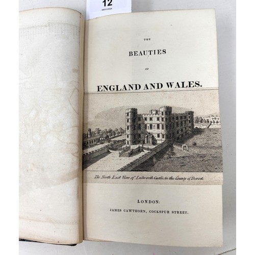 12 - The Beauties of England and Wales – Dorsetshire, published James Cawthorn, London, 1803, quarter bou... 