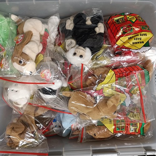 586 - A TY Princess Diana beanie baby, a buddy, and other assorted TY beanie babies (4 boxes)