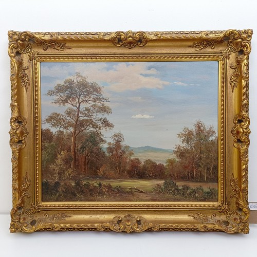 189 - A Davis, landscape, oil on canvas, signed, 40 x 49 cm