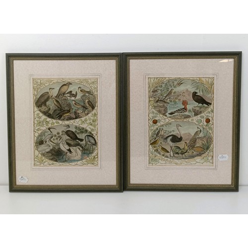 172 - A 19th century print of exotic birds, 29 x 20 cm, its pair, and assorted other pictures (qty)