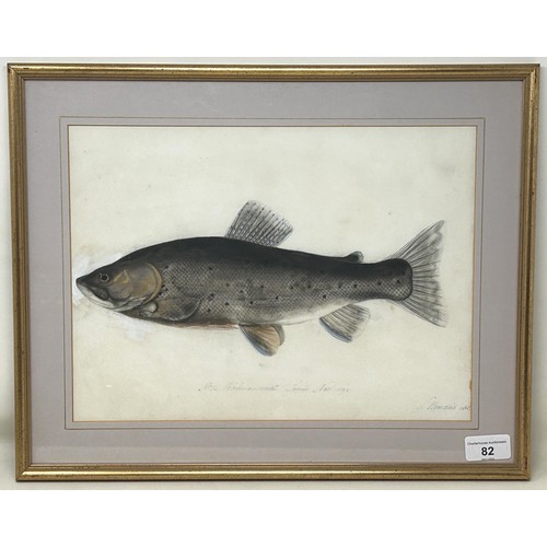 82 - Sarah Bowdich Lee (British 1791-1856), inscribed Rickmansworth trout, 1/2 Natl  size, signed, 25 x 2... 