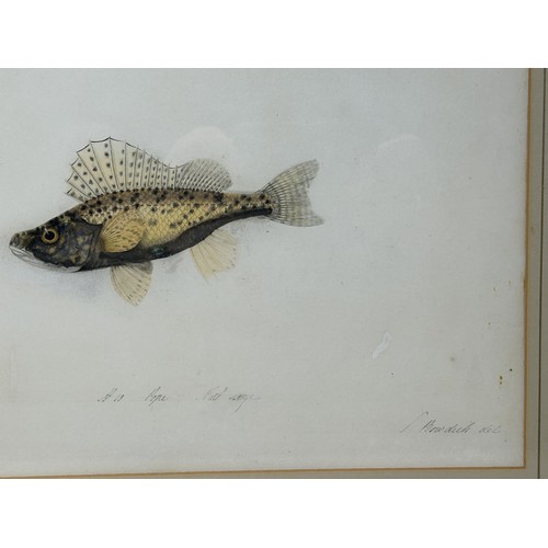 80 - Sarah Bowdich Lee (British 1791-1856), inscribed Pope, Natl  size, signed, 25 x 23 cm