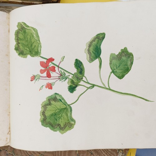 116 - A late 19th/early 20th century sketchbook, decorated flowers, and assorted other sketchbooks (box)