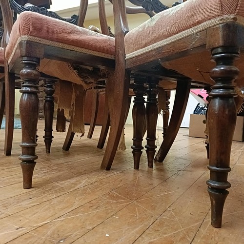 753 - A set of six mahogany balloon back dining chairs, with upholstered seats, on turned legs