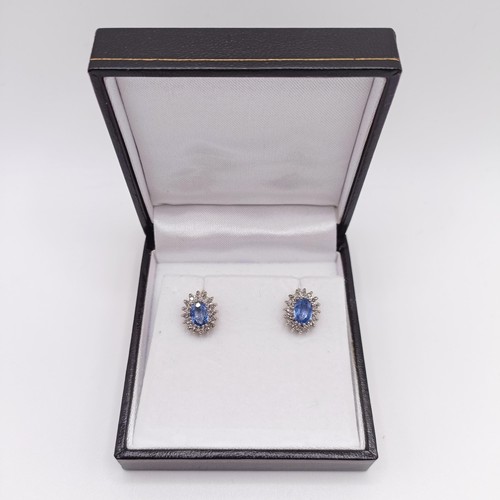 71 - A pair of 9ct white gold, oval cornflower blue sapphire and diamond halo ear studs, with screw clip ... 