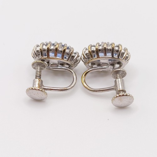 71 - A pair of 9ct white gold, oval cornflower blue sapphire and diamond halo ear studs, with screw clip ... 