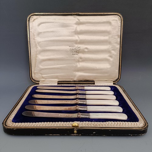 392 - A set of six George V silver and mother of pearl handled butter knives, Sheffield 1911, cased