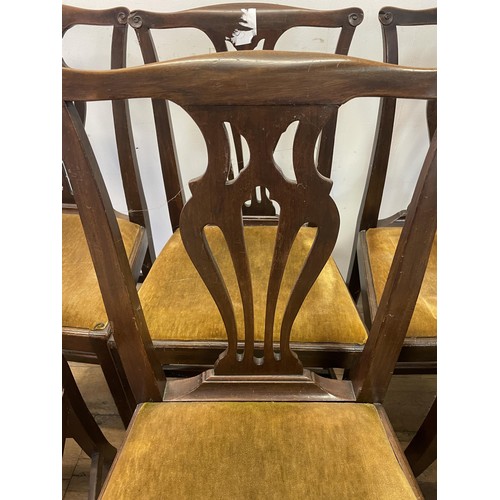 913 - A set of six mahogany dining chairs, with pierced vase shaped splats, drop in seats and square legs