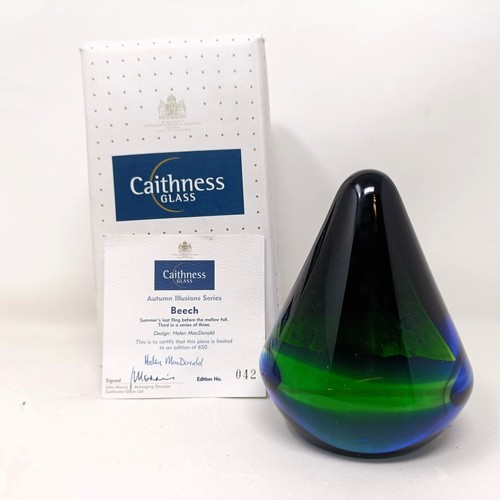 794 - A Caithness paperweight, by Helen McDonald, boxed