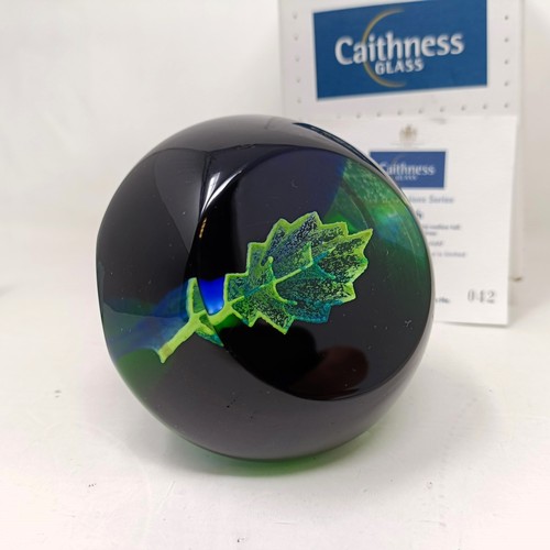 794 - A Caithness paperweight, by Helen McDonald, boxed