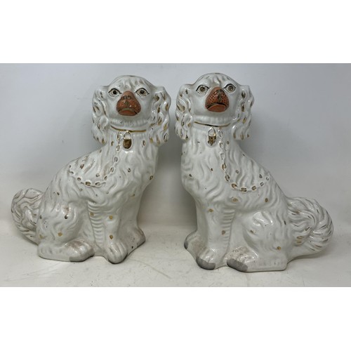 1325 - A pair of Staffordshire spaniels, assorted ceramics and glassware (4 boxes)