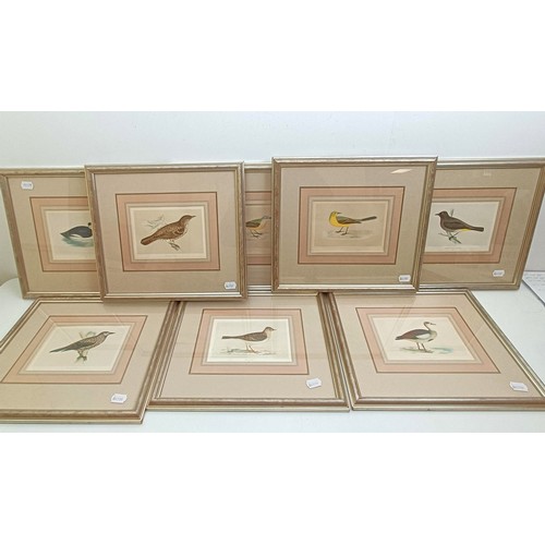 1423 - A set of eight prints of birds, 16 x 20 cm, and assorted pictures (qty)