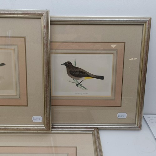 1423 - A set of eight prints of birds, 16 x 20 cm, and assorted pictures (qty)