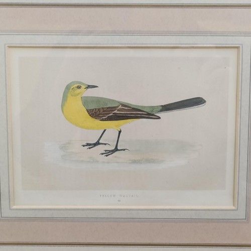 1423 - A set of eight prints of birds, 16 x 20 cm, and assorted pictures (qty)