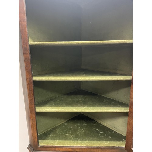 1565 - A walnut floor standing corner cupboard, 100 cm wide