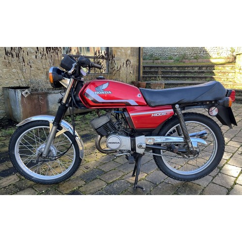 Lot 51        