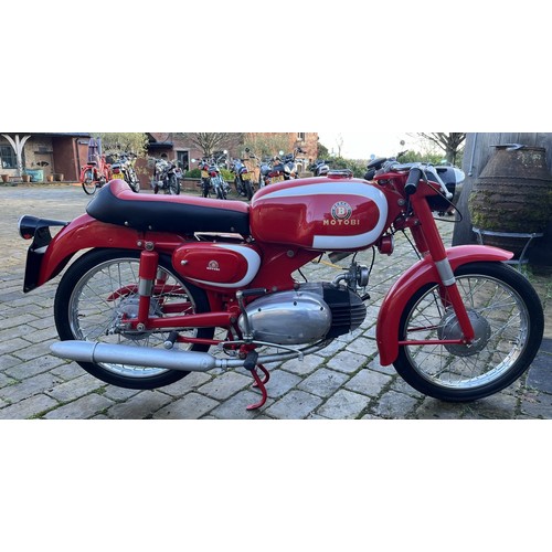 Lot 54        
