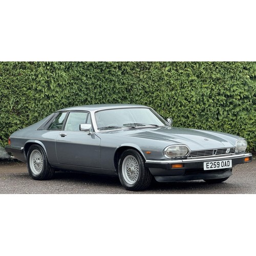 1988 Jaguar XJ-S 3.6 CoupeRegistration number E259
