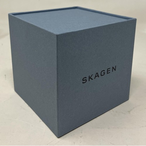 42 - A gentleman's stainless steel Skagen Grenen SKW6461 wristwatch, boxed, with instruction and warranty... 