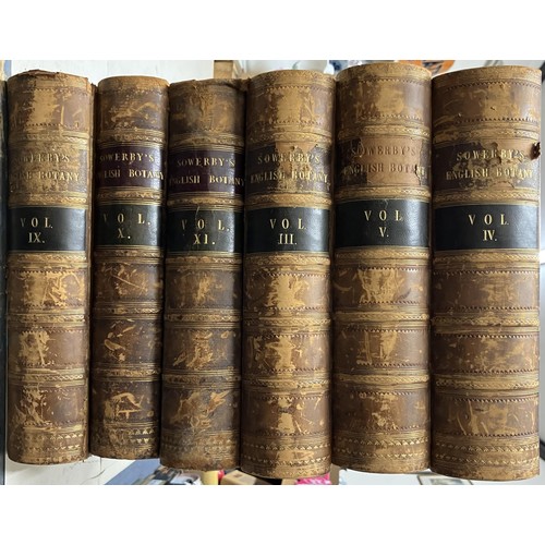 775 - Sowerby (John Edward), English Botany, 11 vols, 1863-1872, half calf (11)