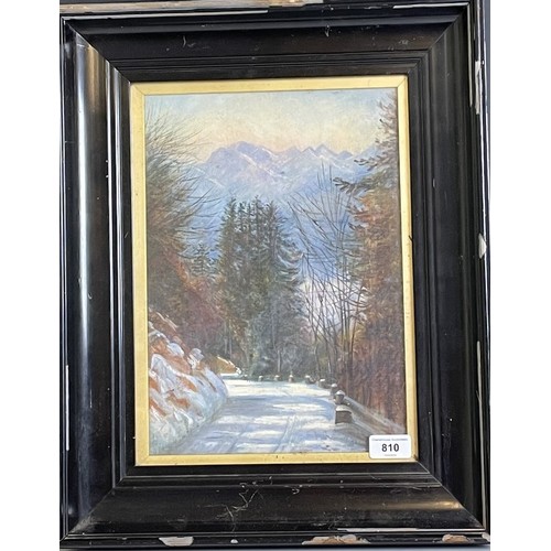 810 - 20th century, Continental school, an Alpine lane, oil on canvas, 36 x 24 cm