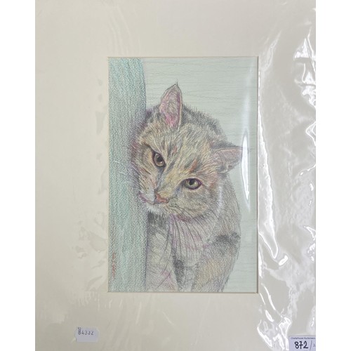 872 - Rita Glover, a portrait of a cat, pastel, 19 x 30 cm, and another, unframed (2)