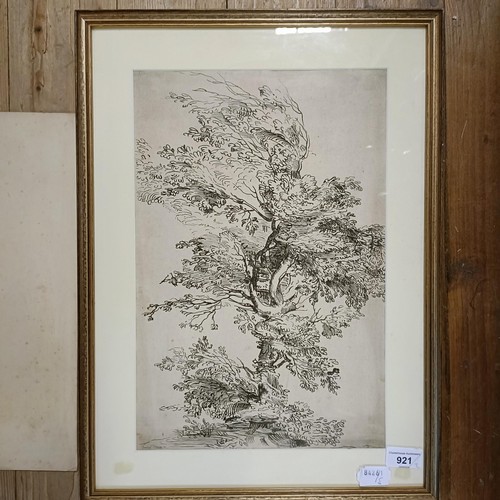 921 - Mary C Lamb, Bundles of Mischief, watercolour, signed, unframed, 38 x 28 cm, and a study of a tree, ... 