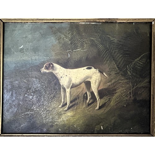 725 - 19th century, English school. a favourite terrier, oil on canvas, 39 x 49 cm