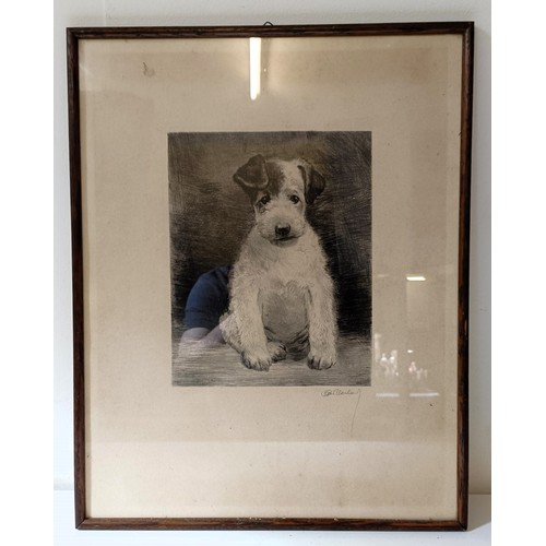 859 - A print of a terrier, indistinctly signed, 45 x 35 cm