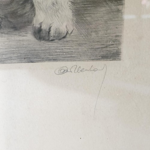 859 - A print of a terrier, indistinctly signed, 45 x 35 cm