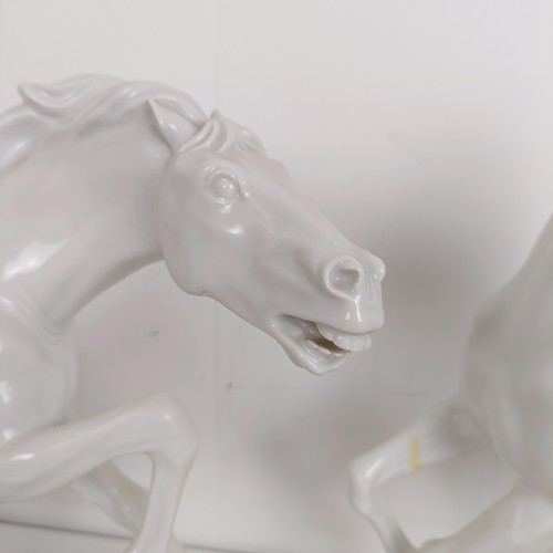 903 - A large pair of Continental porcelain blanc de chine figures of rearing horses, 37 cm high (2)