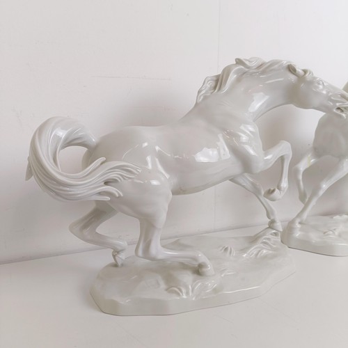 903 - A large pair of Continental porcelain blanc de chine figures of rearing horses, 37 cm high (2)