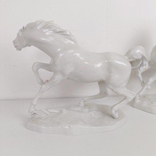 903 - A large pair of Continental porcelain blanc de chine figures of rearing horses, 37 cm high (2)