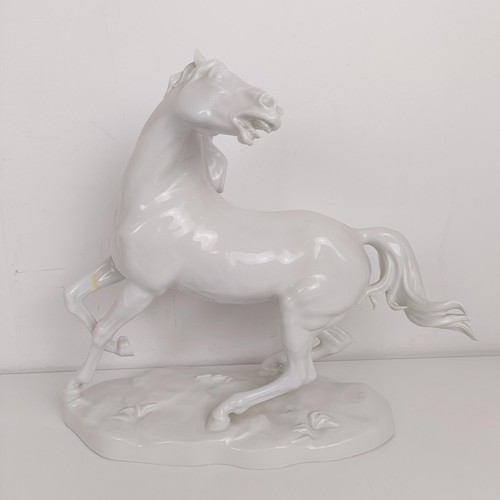 903 - A large pair of Continental porcelain blanc de chine figures of rearing horses, 37 cm high (2)