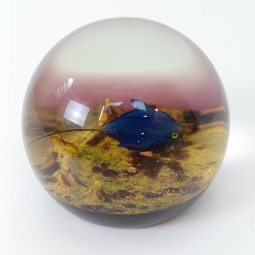 911 - A limited edition glass paperweight, Manta Ray, by William Manson, initialled WM and 79