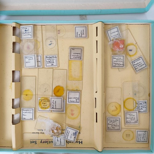 974 - Assorted microscope slides, in two cases