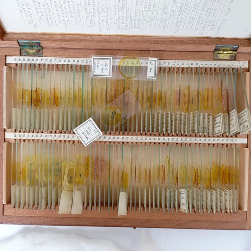 974 - Assorted microscope slides, in two cases